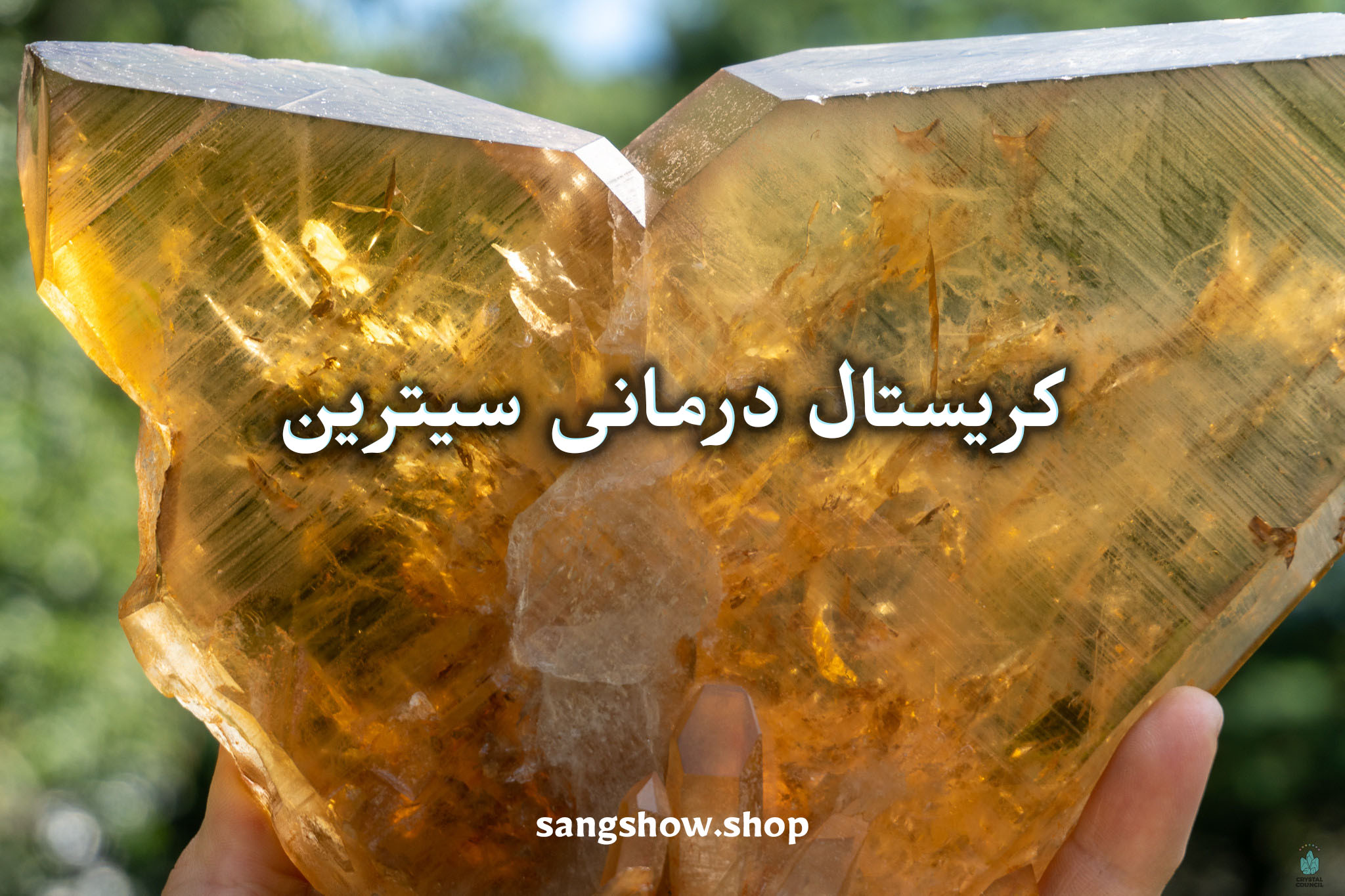 Citrine2233