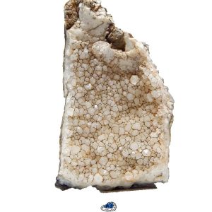 سنگ راف کریستال کوارتز پر بلور نمونه استثنایی و اصل و معدنی S1831