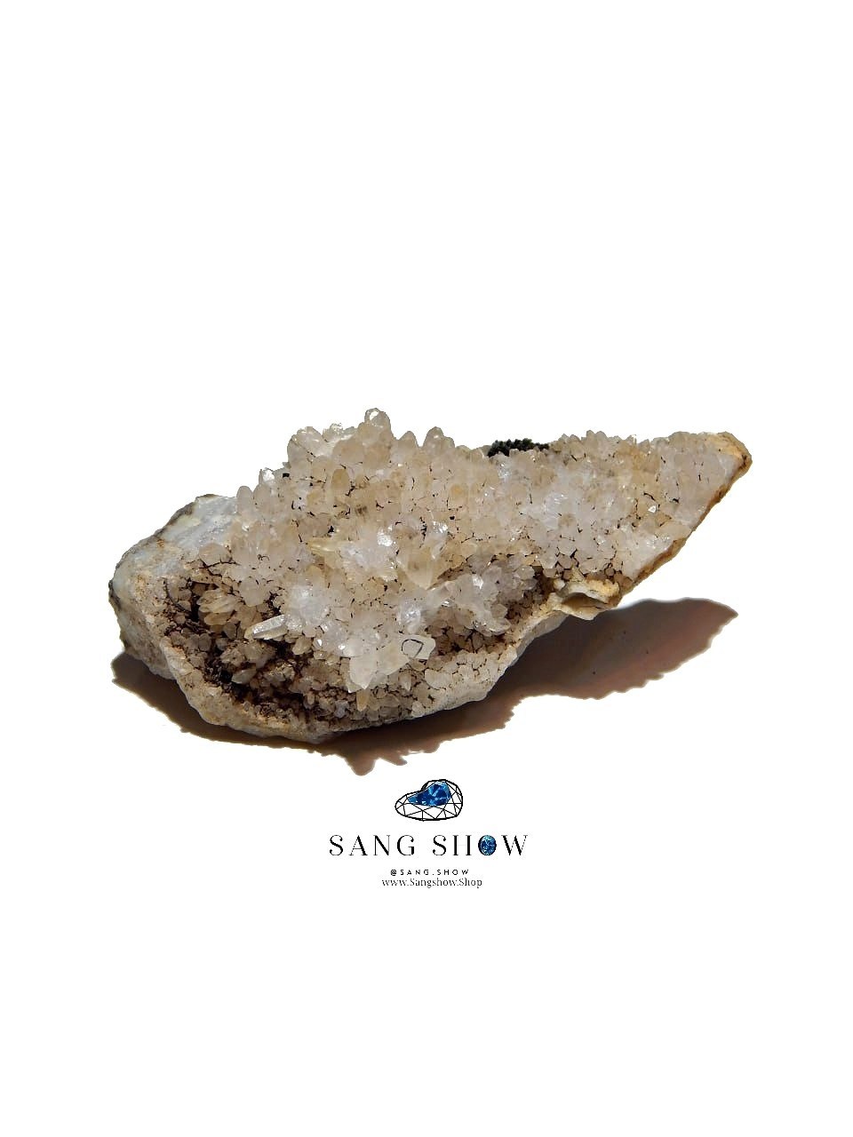 photo 2026 01 01 13 37 11