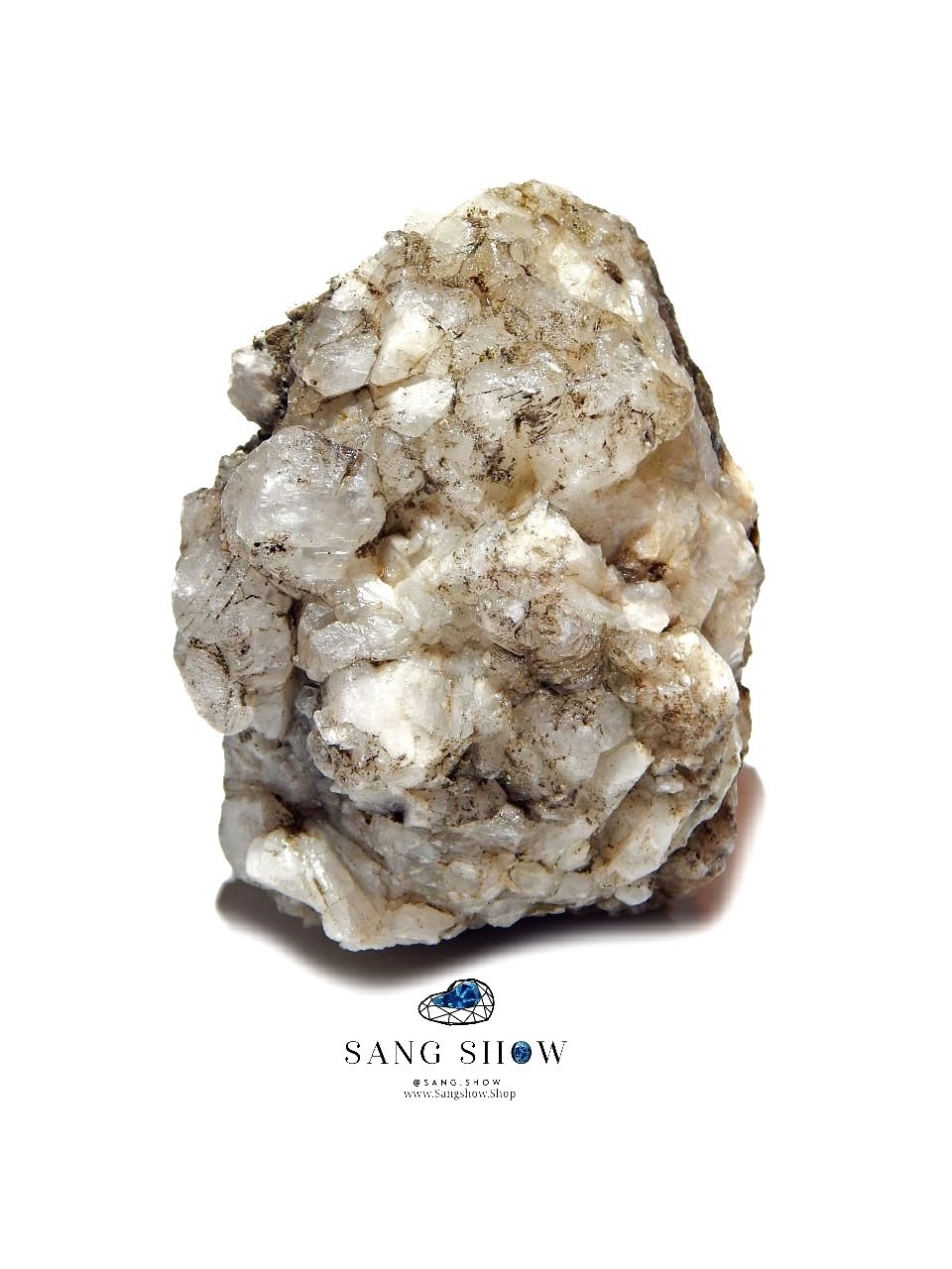 photo 2026 01 01 14 16 53