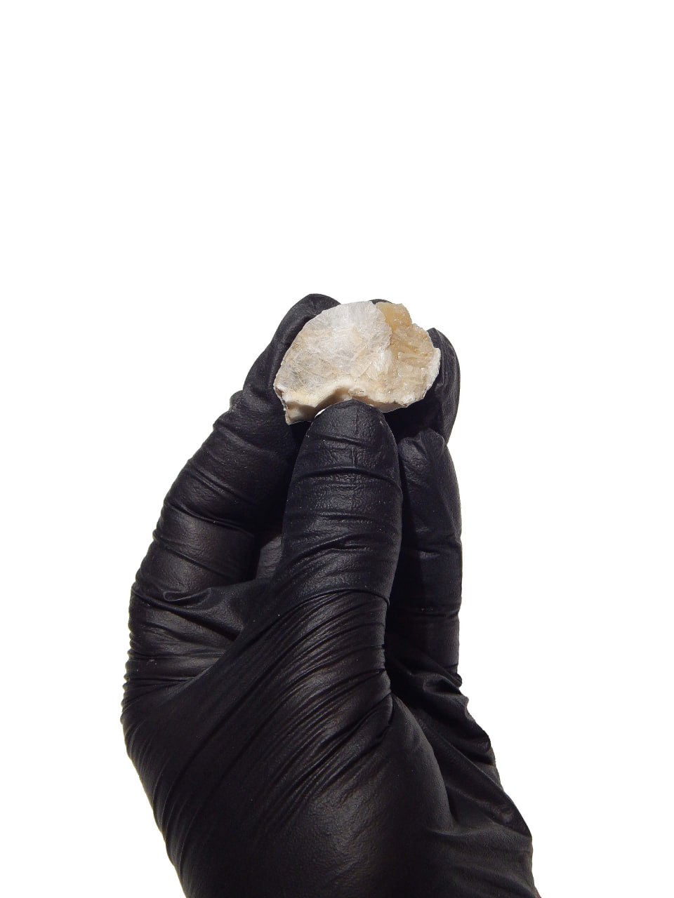 photo 2026 01 05 10 46 42 1