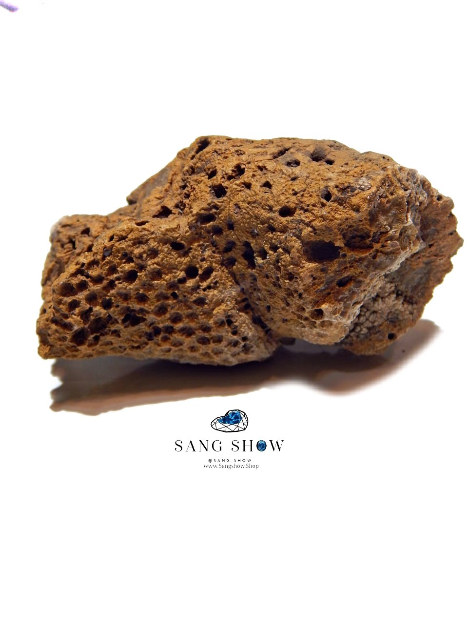 فسیل مرجان راف و استثنایی نمونه ویژه و اصل S1872 4 فسیل مرجان راف و استثنایی نمونه ویژه و اصل S1872 - تصویر 3