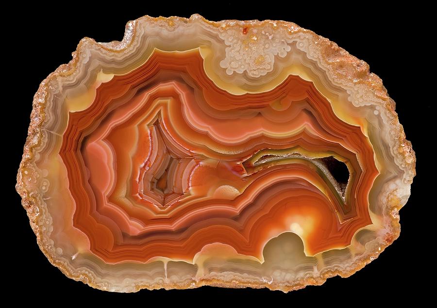 coyamito agate natural history museum londonscience photo library